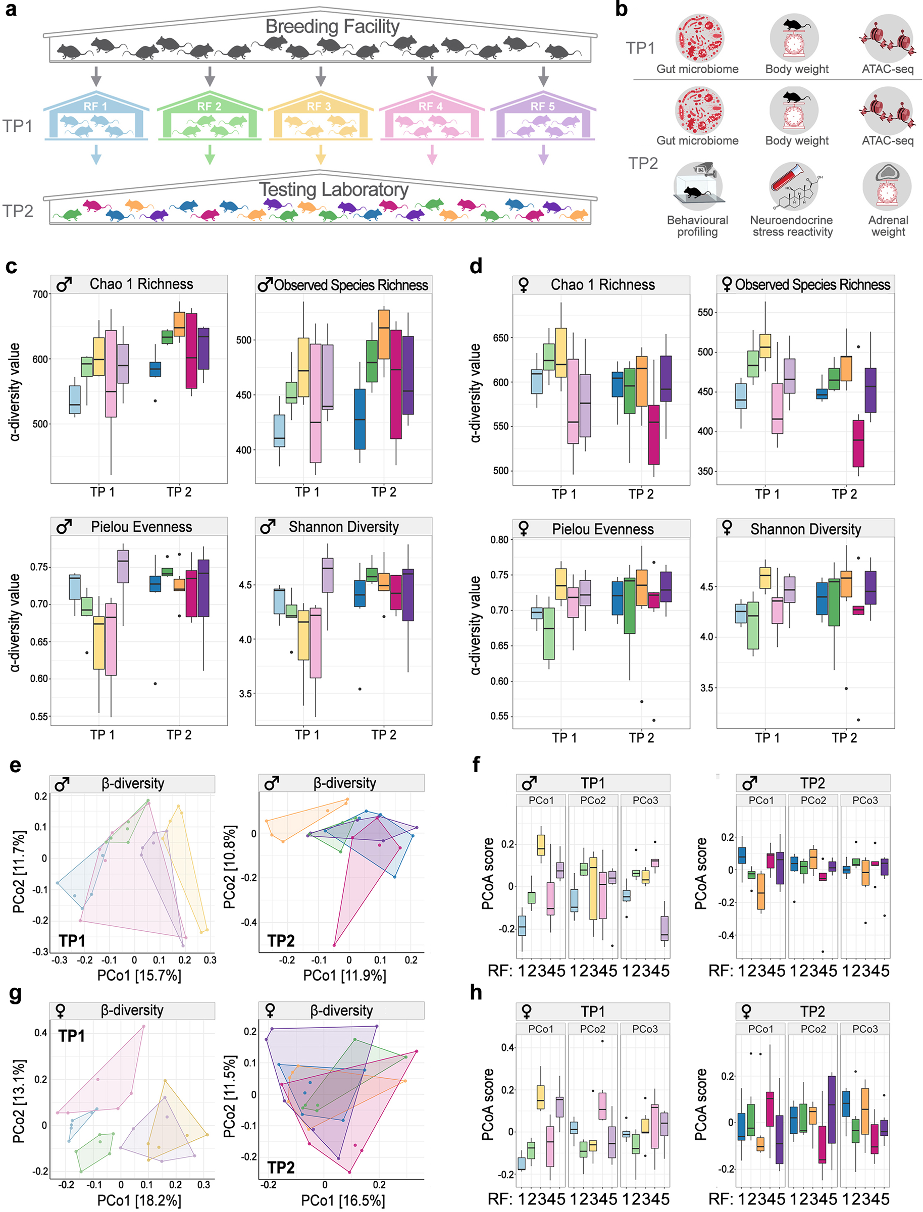 The rearing environment persistently modulates mouse phenotypes from the molecular to the behavioural level