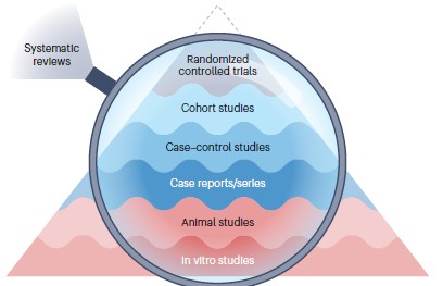 Systematic review and meta-analysis of preclinical studies.