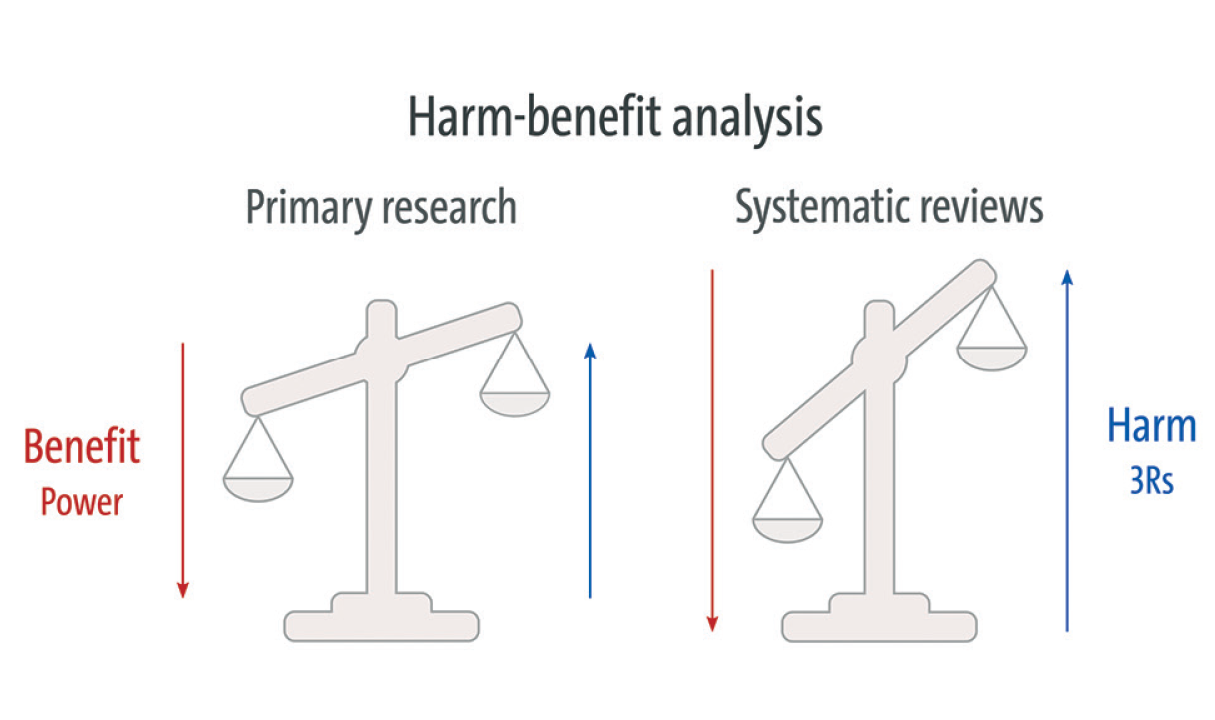 Summer school for systematic reviews of animal studies: Fostering evidence-based and rigorous animal research.